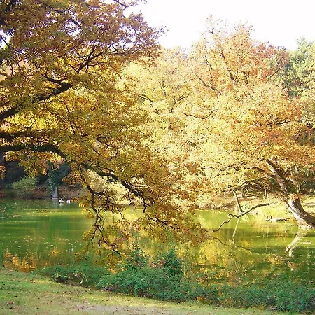 Chateau Du Bois Glaume Gospodarstwo wiejskie Poligné